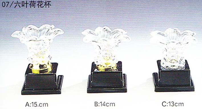 CH501-07荷花盃
